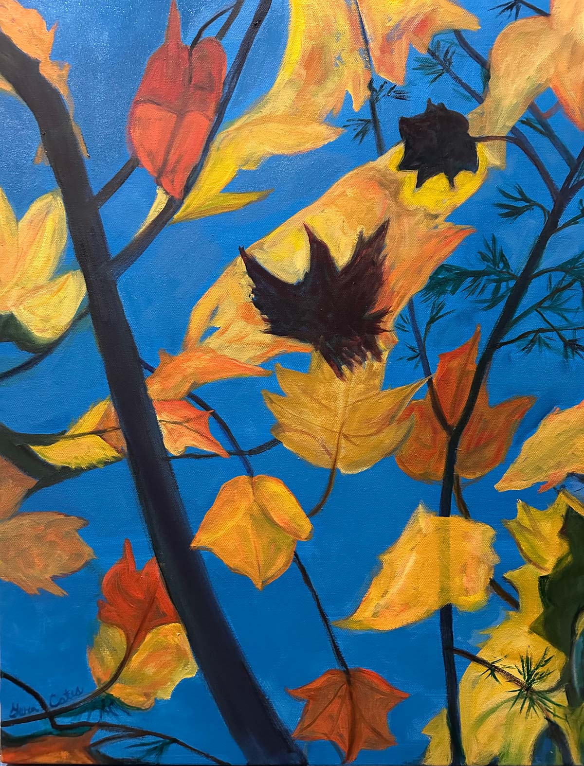 Autumn Leaf Adventures
