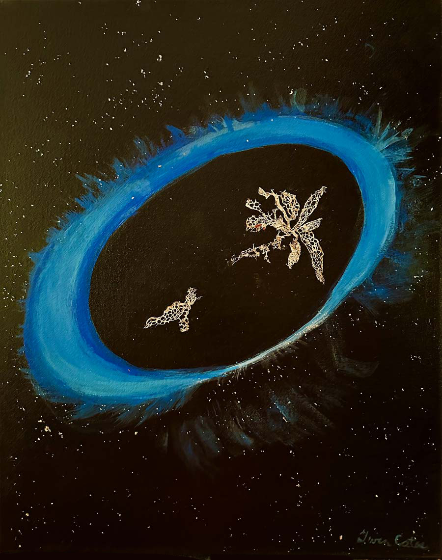 Black Hole Nebula with Star Dust Particles, Mysteries of the Heart of the Universe Series