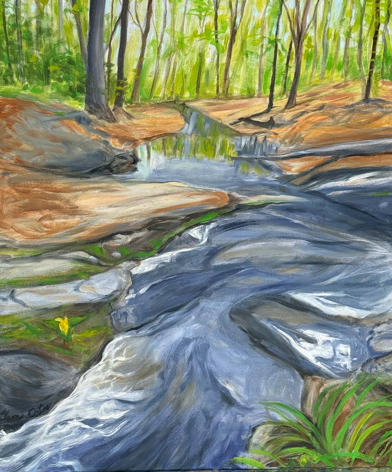 Spring Wander on Powell Creek