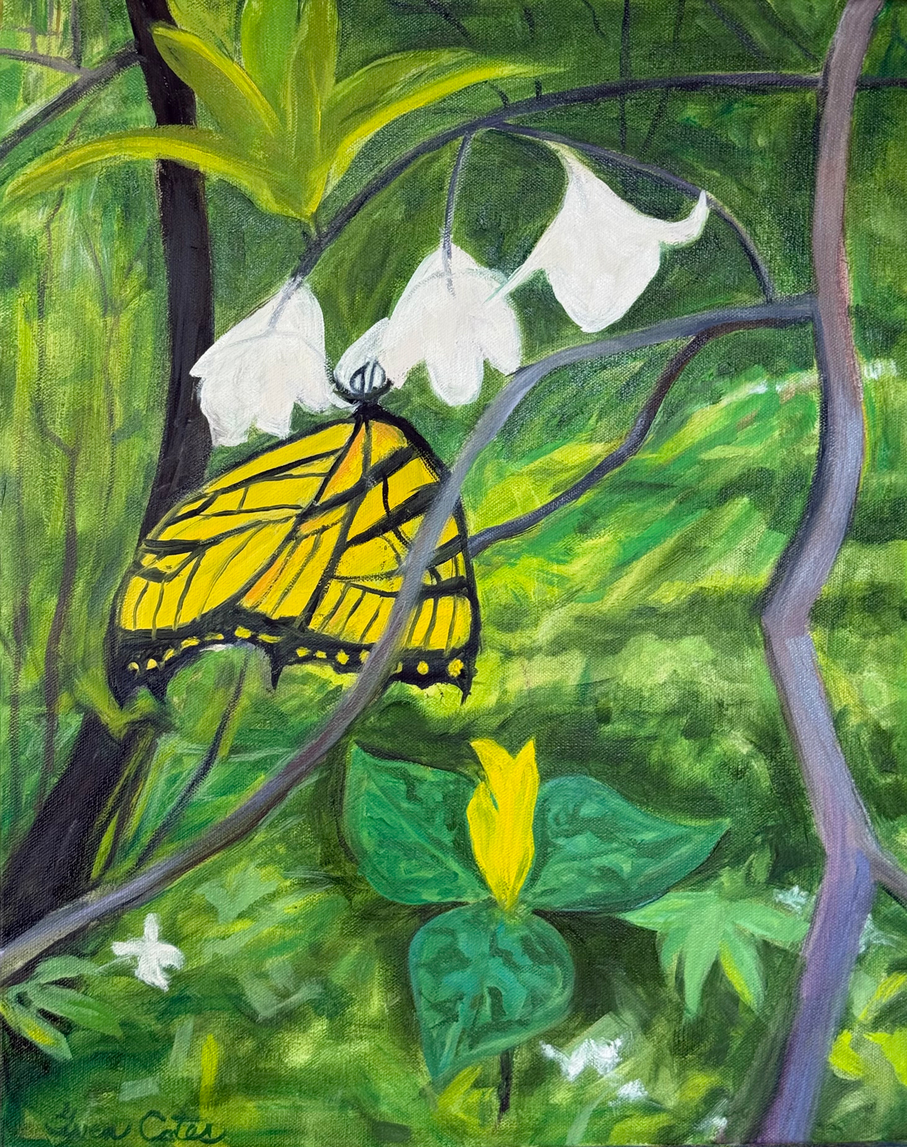 Spring Wander with Monarch Butterfly