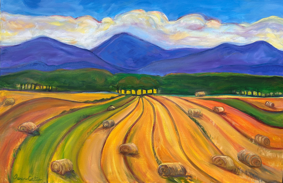 Virginia Hayfield with Round Bails