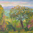 Virginia Spring I